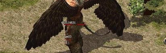 �Һô����ʿӦ����ô������ħ����